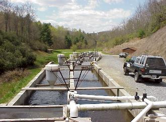 Cantrell Creek Trout Farm
