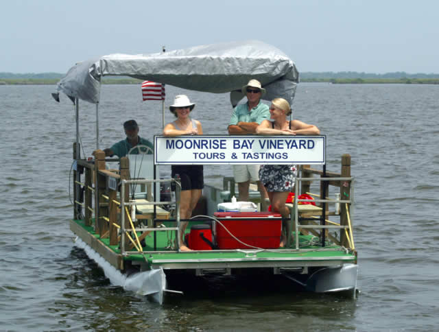 Moonrise Bay Winery Tour