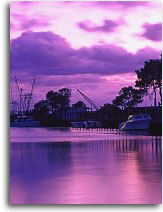 Wanchese Seafood Park