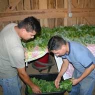 Postharvest handling