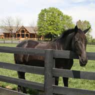 Fork and hunting lodge