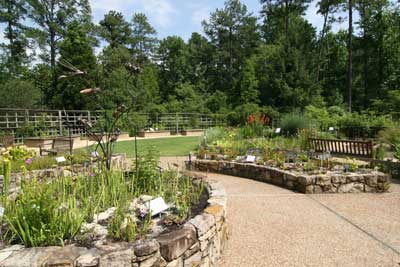 NC Botanical Garden