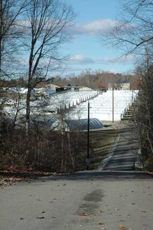 Piedmont Carolina Nursery