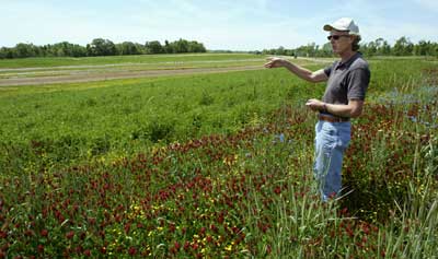 NCA&T State University Research Farm