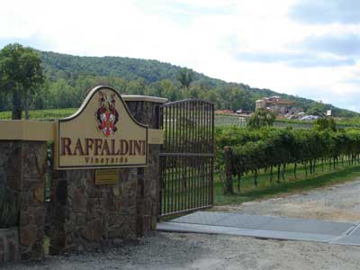 Raffaldini Vineyard