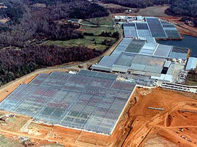 metrolina Greenhouses