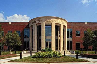 Cottton Inc.
